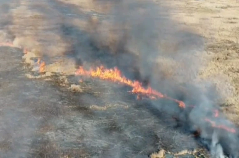 Van’da sazlık yangını 