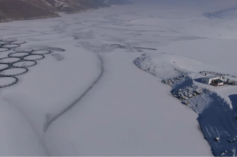 Van’da Sibirya soğukları: Dev barajlar buz tuttu