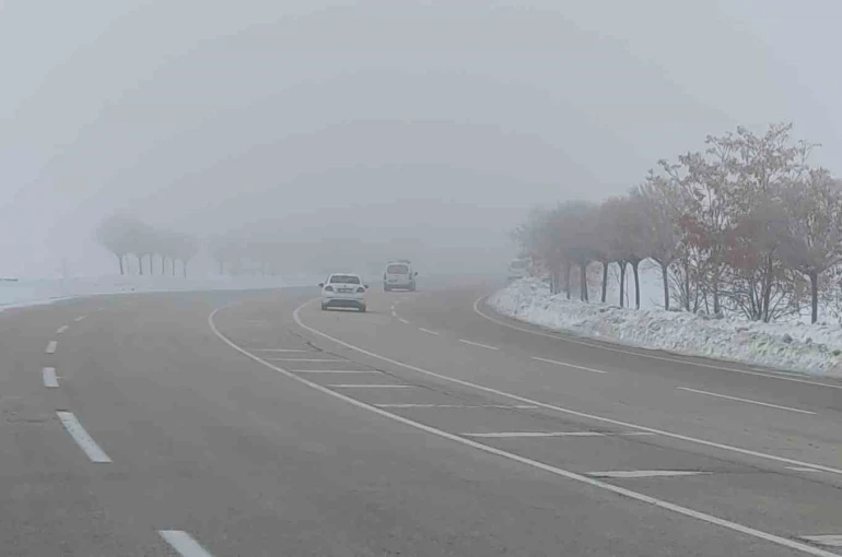 Van’da sis ulaşımı olumsuz etkiledi 