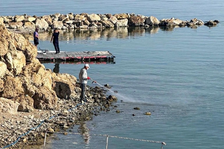 Van’da vektörle mücadele seferberliği 