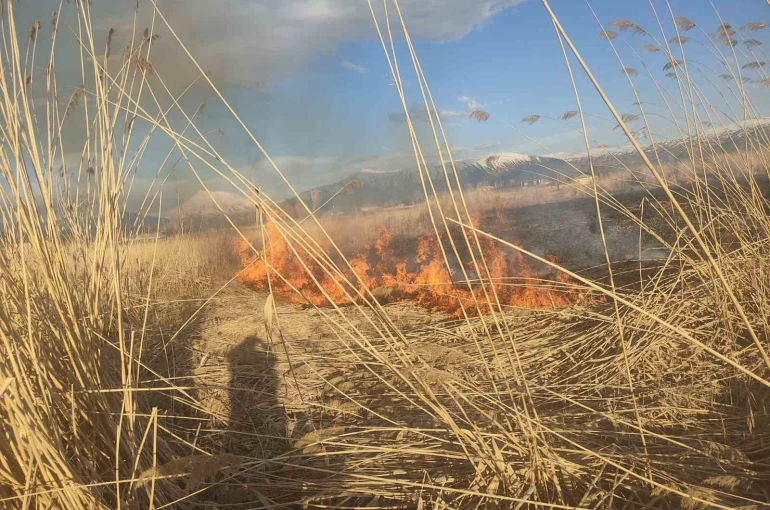Van’ın Muradiye ilçesinde sazlık yangını 