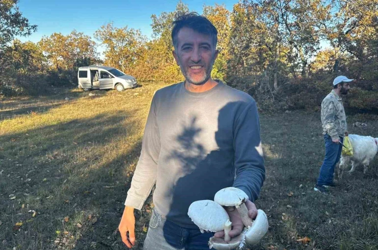 Yağışlar sonrası ormanlarda mantar patlaması yaşandı 