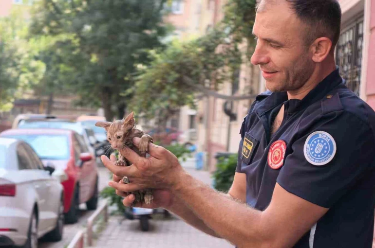 Yağmur suyu giderine sıkışan kediyi itfaiye kurtardı