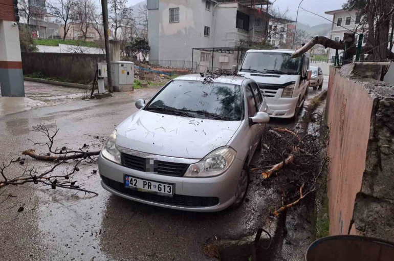 Yağmur ve şiddetli rüzgar çam ağacını devirdi, otomobil zarar gördü 
