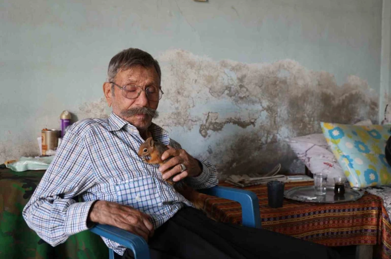 Yalnız kalmıştı, yavruyken kurtardığı ’sincap’ dostu oldu 