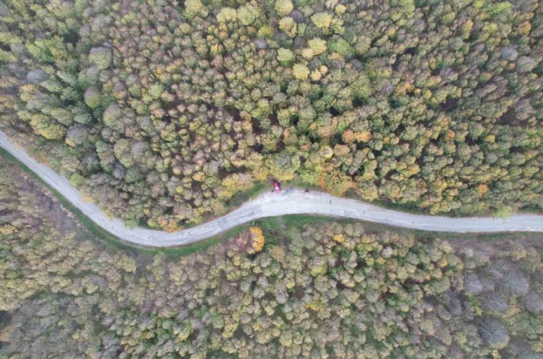 Yalova ormanlarında sonbahar güzelliği 