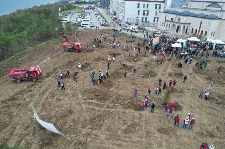 Yalova’da fidanlar toprakla buluşturuldu 