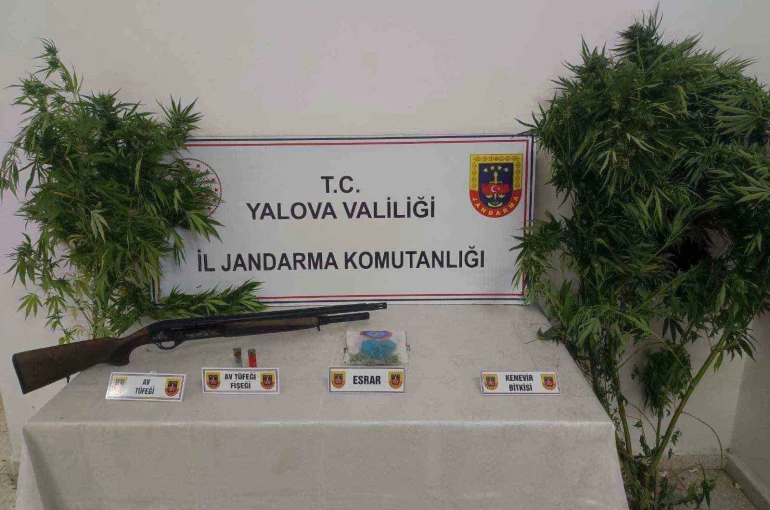 Yalova’da ormanlık alanda uyuşturucu yetiştiren 2 şüpheli yakalandı