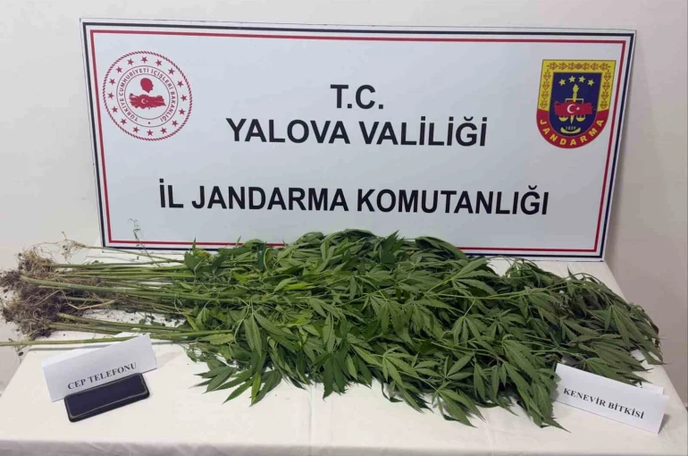 Yalova’da uyuşturucu operasyonu: 3 gözaltı 