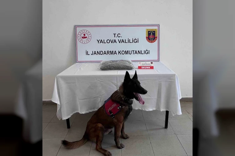 Yalova’da uyuşturucu operasyonunda 1 tutuklama