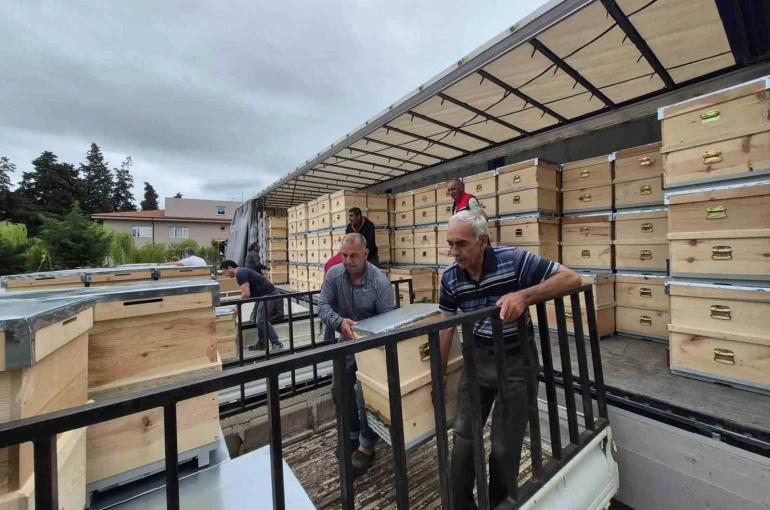 Yangından etkilenen arıcılara 2 bin kovan dağıtıldı
