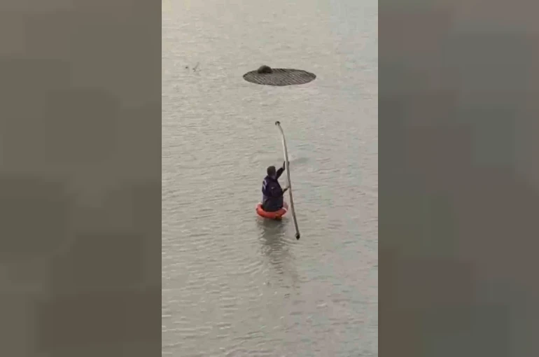 Yapay gölette mahsur kalan tilkiyi itfaiye kurtardı 