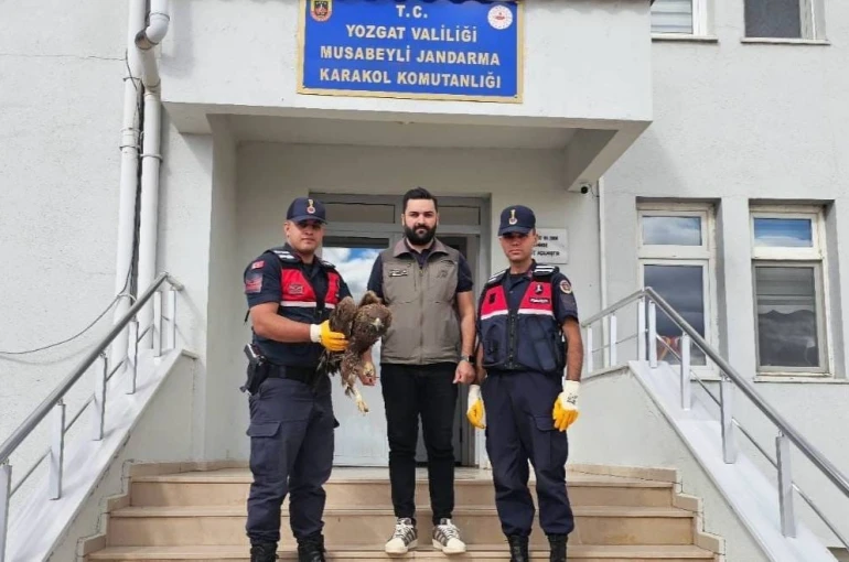 Yaralı halde bulunan kartal koruma altına alındı 