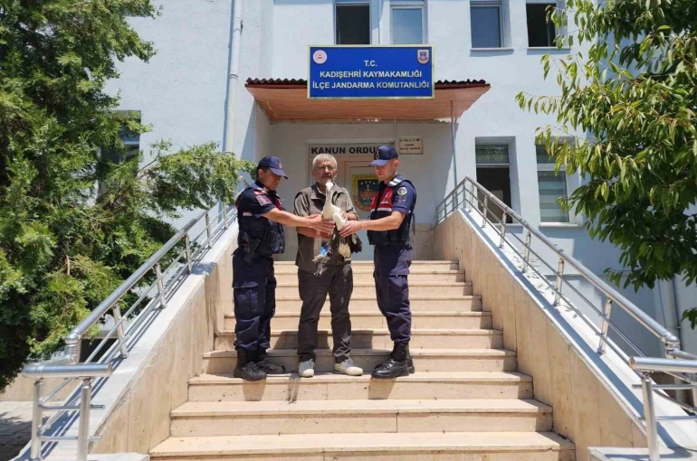 Yaralı leylek tedavi altına alındı 