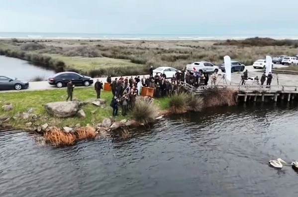 Yaralı pelikanlar tedavilerinin ardından doğaya salındı