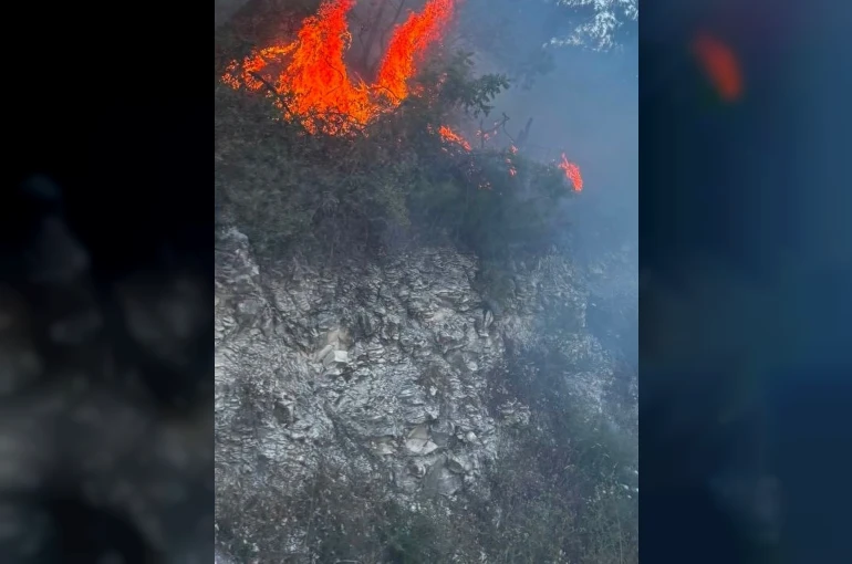 Yayladağı’nda ormanlık alanda çıkan yangın kontrol altına alındı 