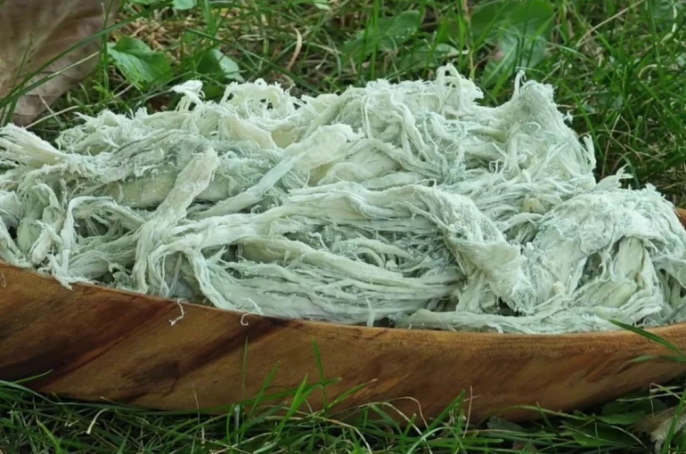 Yayladan sofraya doğal antibiyotik: Erzurum’un göğermiş peyniri 