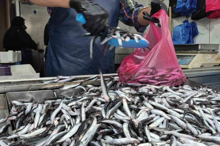 Yaz sıcakları palamudu vurdu, yerini hamsi aldı 