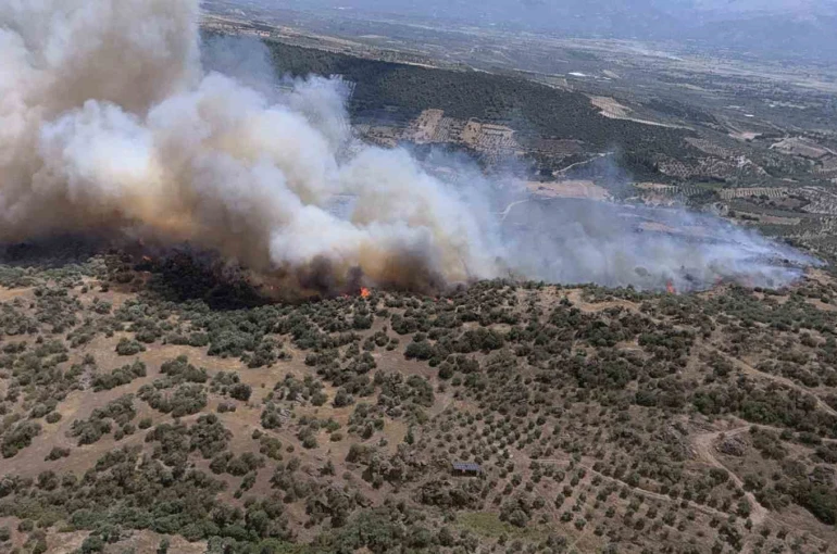 Yazıkent’te yangını büyüten rüzgar bugün de etkisini sürdürecek