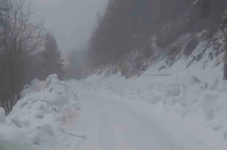 Yedigöller Milli Parkı yolunda kar yağışı etkili oluyor 