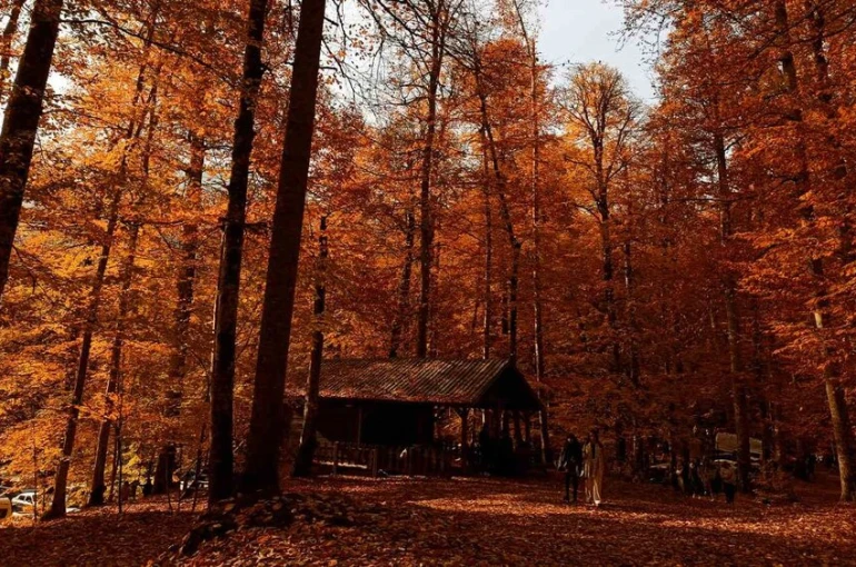 Yedigöller Milli Parkı ziyaretçi akınına uğradı 