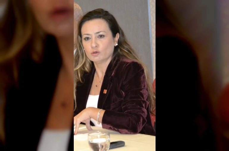 Yeni Parti Manisa İl Başkanı İlksen Özalper gözaltına alındı 