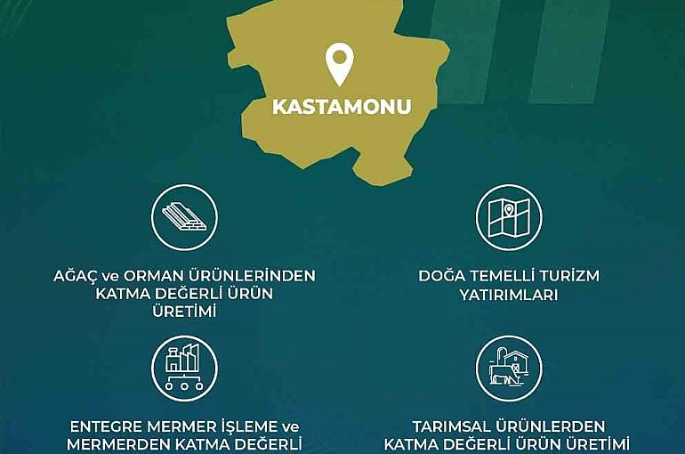 Yerel Kalkınma Hamlesi Teşvik Programıyla 3 ilin yerel potansiyeli ortaya çıkartılacak 