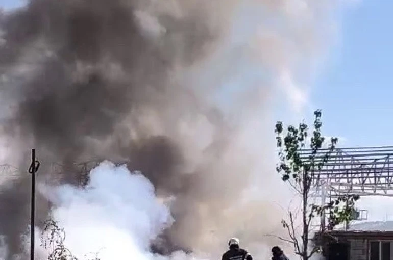 Yerleşim alanına yakın çıkan yangın korkuttu