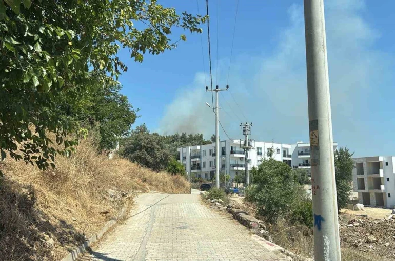 Yerleşim yerlerine yakın makilik alandaki yangın korkuttu 