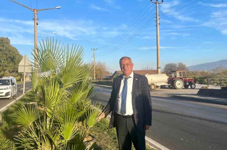 Yeşil Sultanhisar için ağaçlandırma çalışmaları sürüyor 