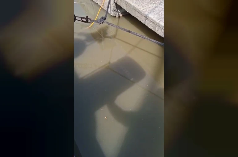 Yeşilköy’de balıkçı barınağından denize atık su deşarjının görüntüleri ortaya çıktı