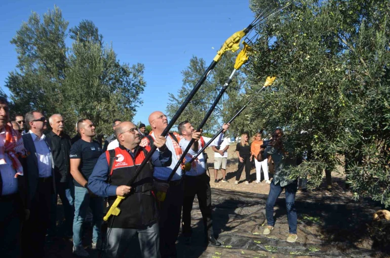 Yılın ilk zeytinyağı üretimi yapıldı 