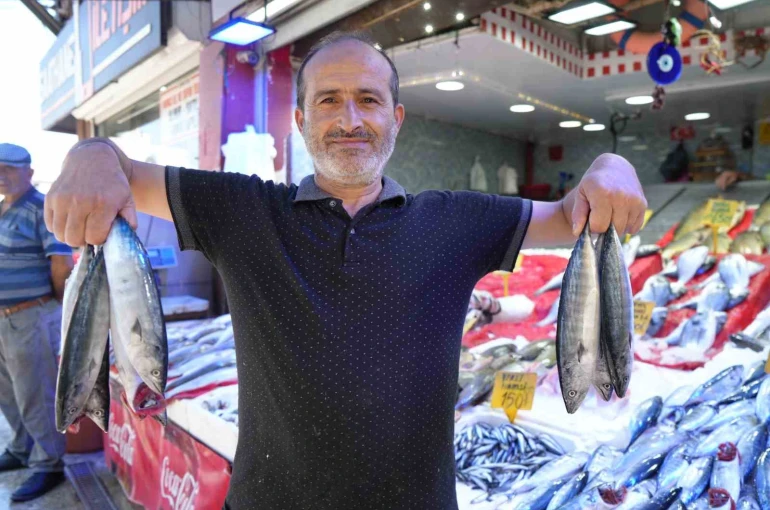Yıllardır böylesi görülmedi: Karadeniz’den palamut fışkırıyor