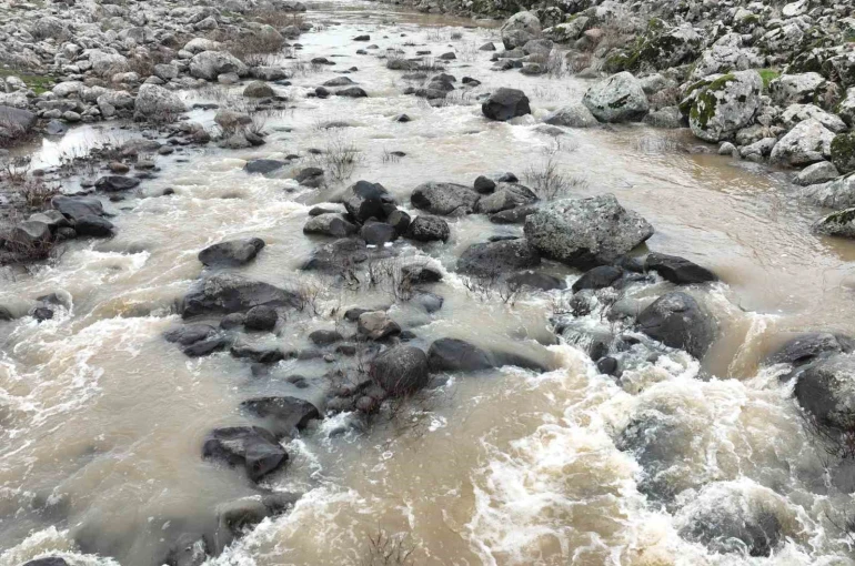 Yoğun yağışlar çiftçinin yüzünü güldürdü 