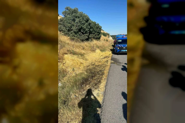 Yol kenarına atılan sigara izmariti yangına neden oldu