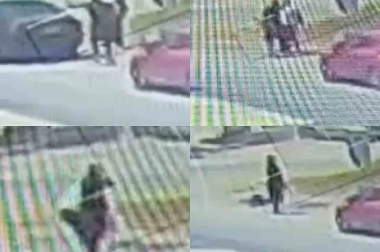 Yol kenarında kadın arkadaşını öldürüp kendini vurmuştu: Şüpheli taburcu edilip tutuklandı