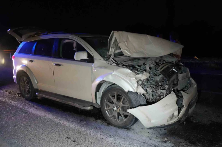 Yola çıkan hayvanlara otobüs ve cip çarptı: 3 inek telef oldu 