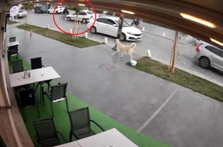 Yolun karşısına geçmek isteyen bisikletliye otomobil çarptı: 1 yaralı 