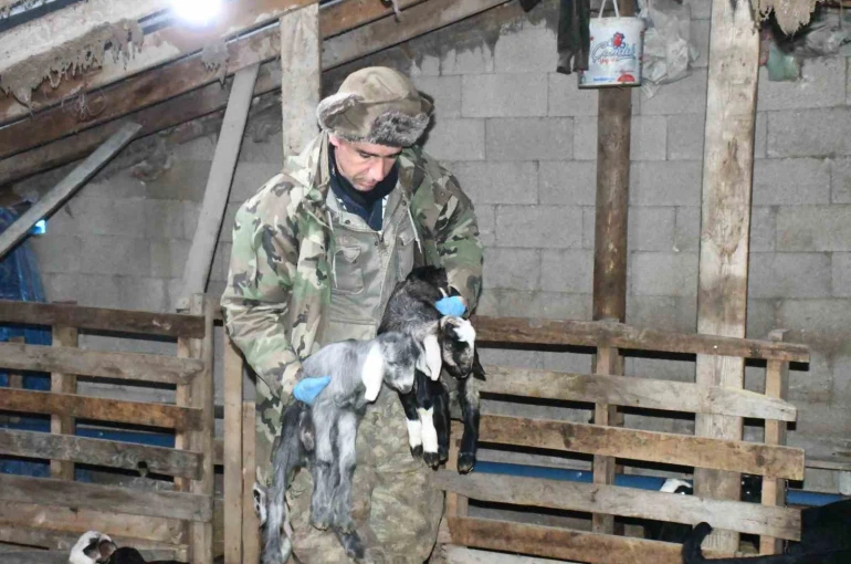 Yozgatlı keçi yetiştiricisi kireçli yöntemle hayvan kayıplarını önledi 