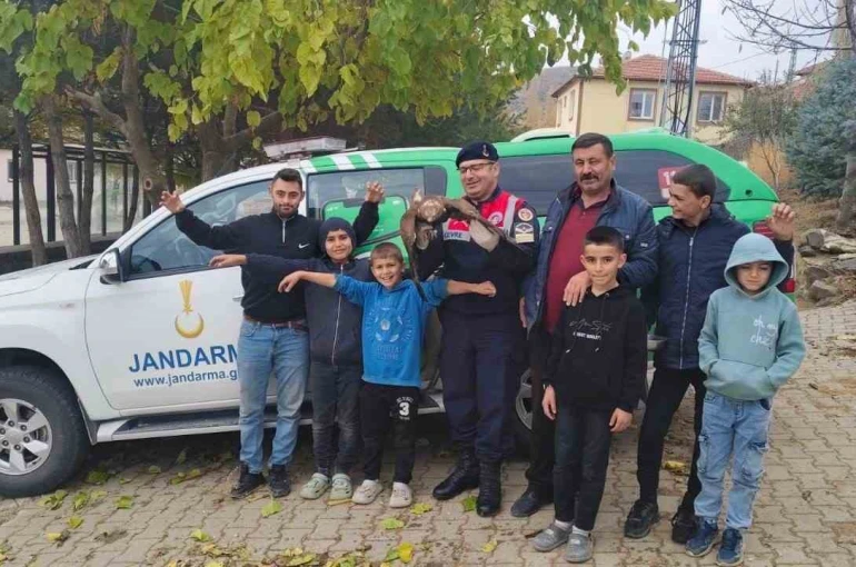 Yozgat’ta bulunan yaralı kızıl şahin çocukların ilgi odağı oldu