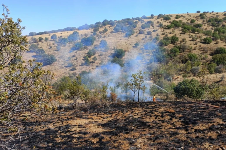Yozgat’ta makilik alanda çıkan yangın 15 dönüm alanda etkili oldu