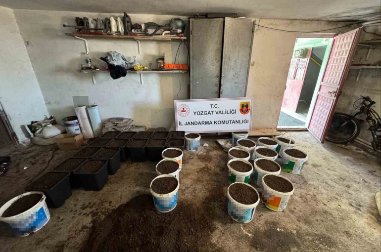 Yozgat’ta uyuşturucu yetiştirme düzeneği ve uyuşturucu madde ele geçirildi 