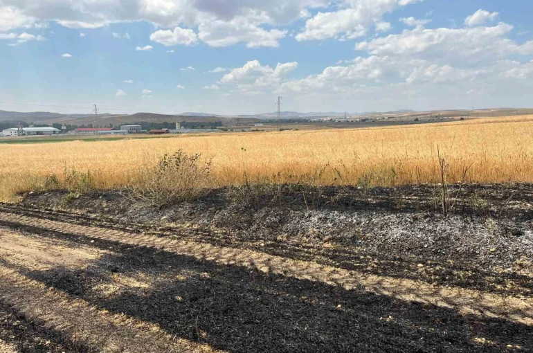 Yozgat’ta yaklaşık 10 dönüm ekili arazi yandı