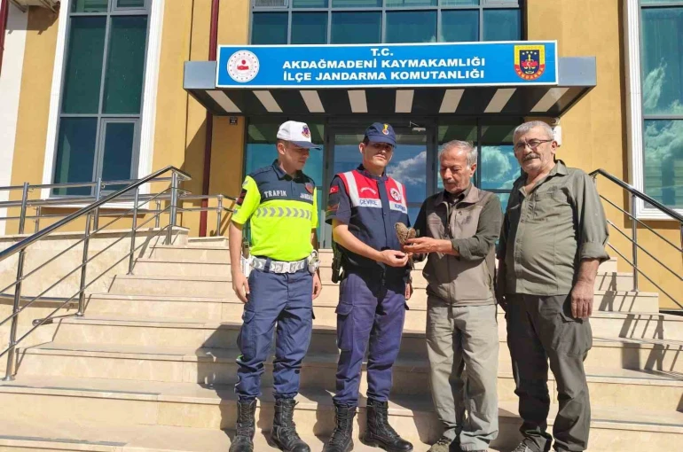 Yozgat’ta yaralı çakır kuşu bulundu 