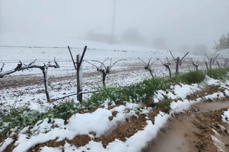 Yüksek kesimlerde ani hava değişimi üreticiyi zorladı 