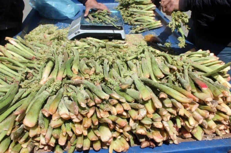 Yüksek rakımın lezzeti tezgâhlarda 