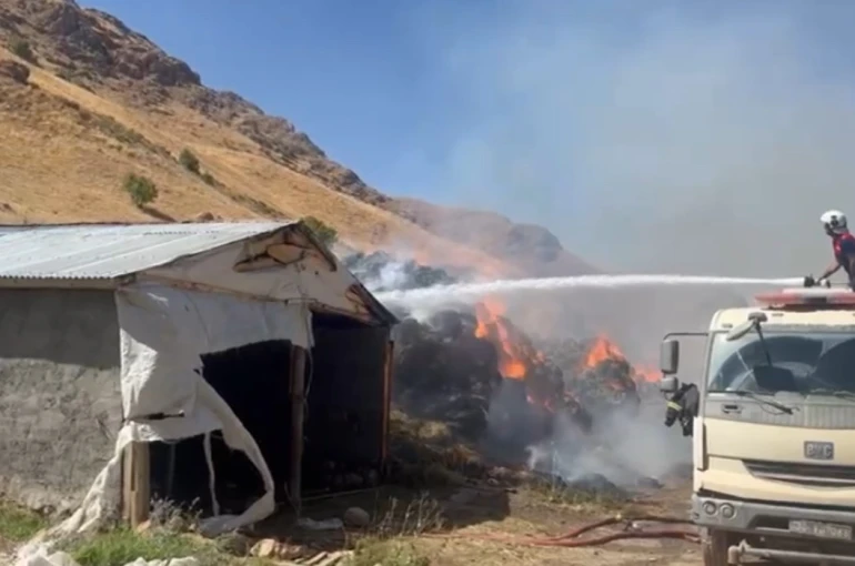 Yüksekova’da 20 bin bağ ot kül oldu 