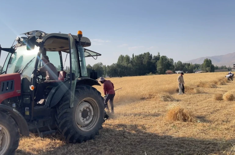 Yüksekova’da asırlık gelenek: İmece usulü hasat dönemi devam ediyor
