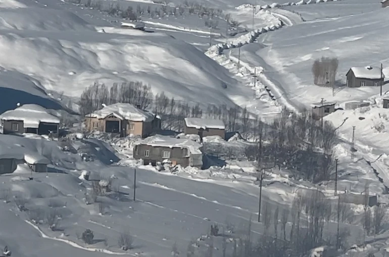 Yüksekova’da çiftçilere "kurt saldırısı" uyarısı 