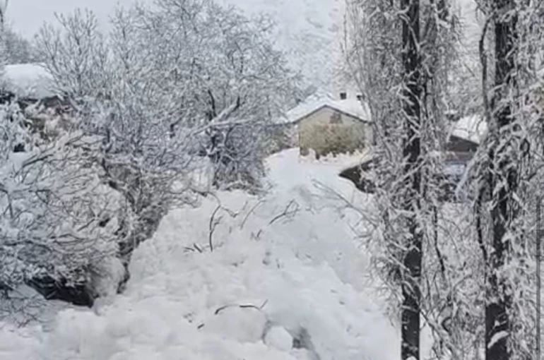 Yüksekova’da çığ yerleşim yerine indi: Facianın eşiğinden dönüldü 